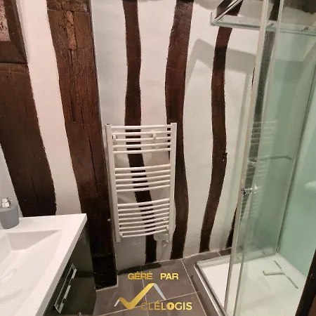 Le Graveur Saint Maclou, Hyper Centre, Typique Rouennais Lejlighed