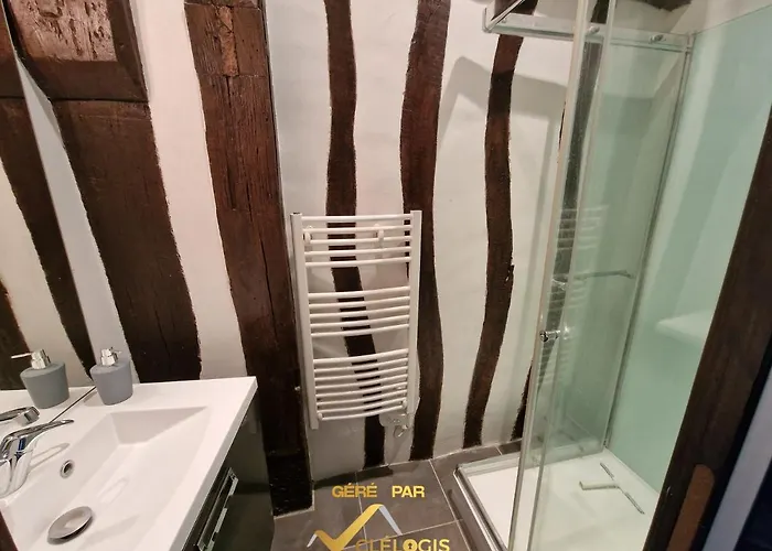 Le Graveur Saint Maclou, Hyper Centre, Typique Rouennais Apartment